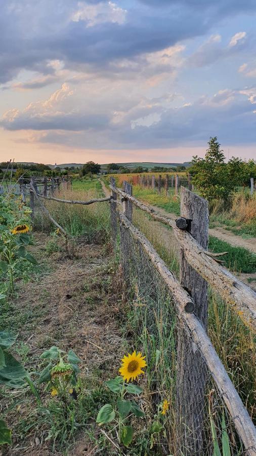 Sobe Kod Baje - Baranjska Kuca 3*
